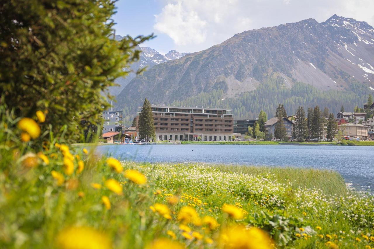 Lodge Aves Arosa